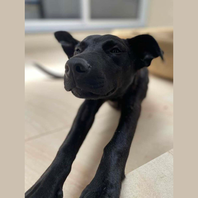 Photo of Storm