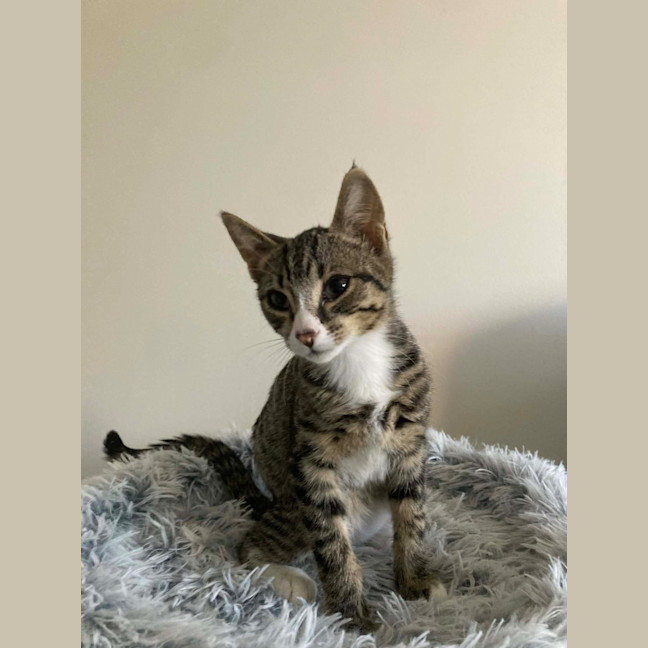 Photo of Your Uncle Kevin