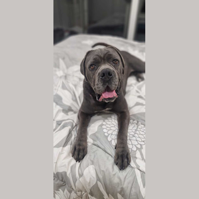 Photo of Lola