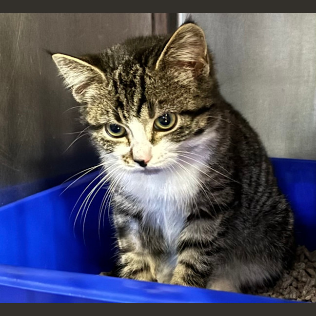 Photo of Lennox (Lenn) 