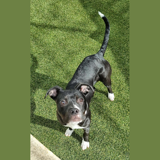 Photo of Edie