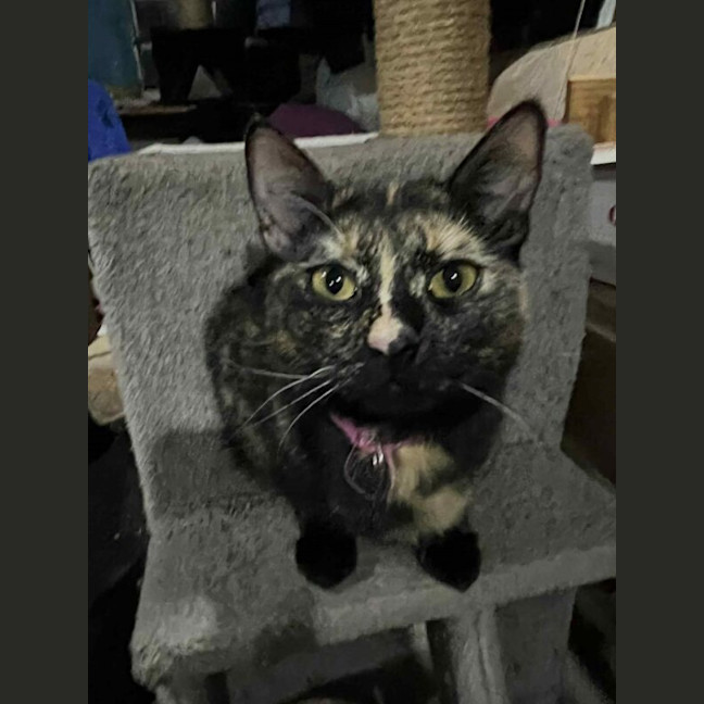 Photo of Princess