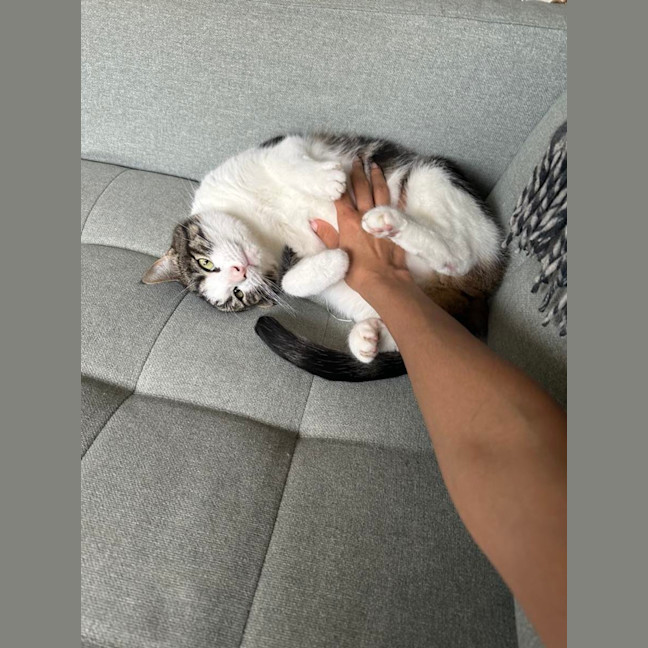 Photo of Coffee   Located In Thornbury