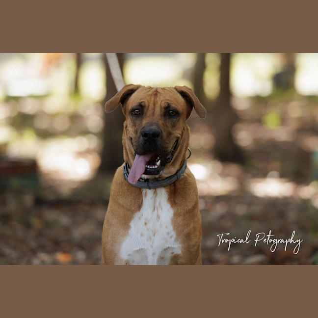 Photo of Ruby