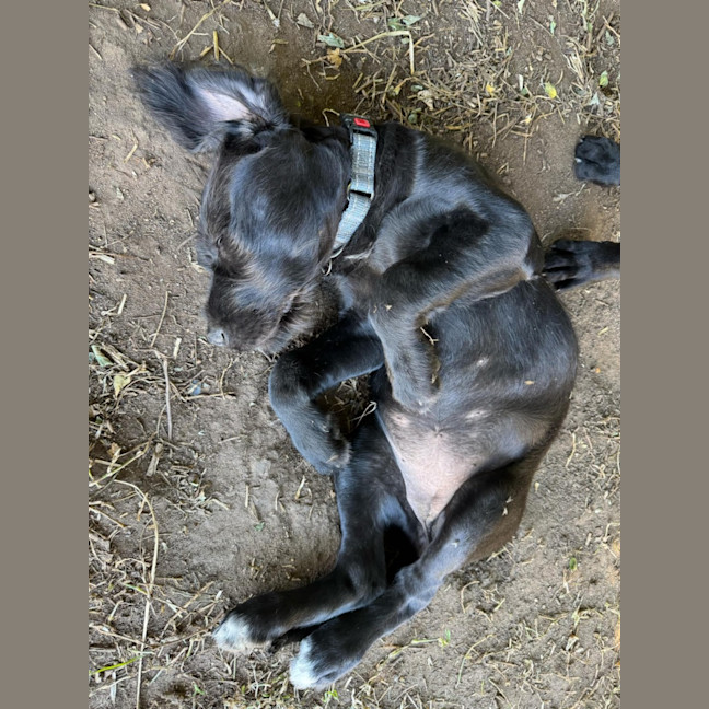Photo of Buffy