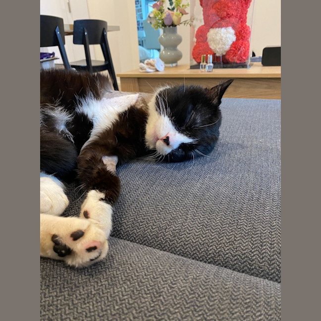 Photo of Pickles