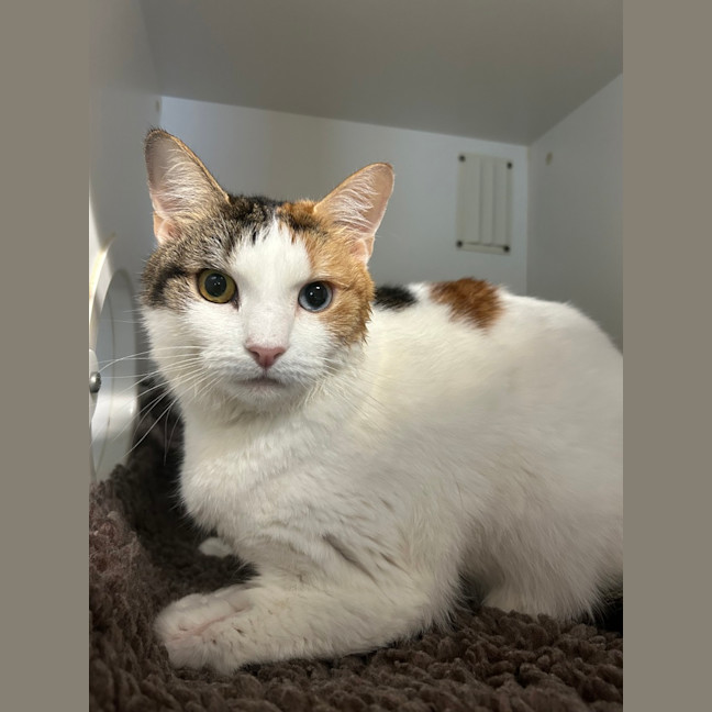 Photo of Zoe