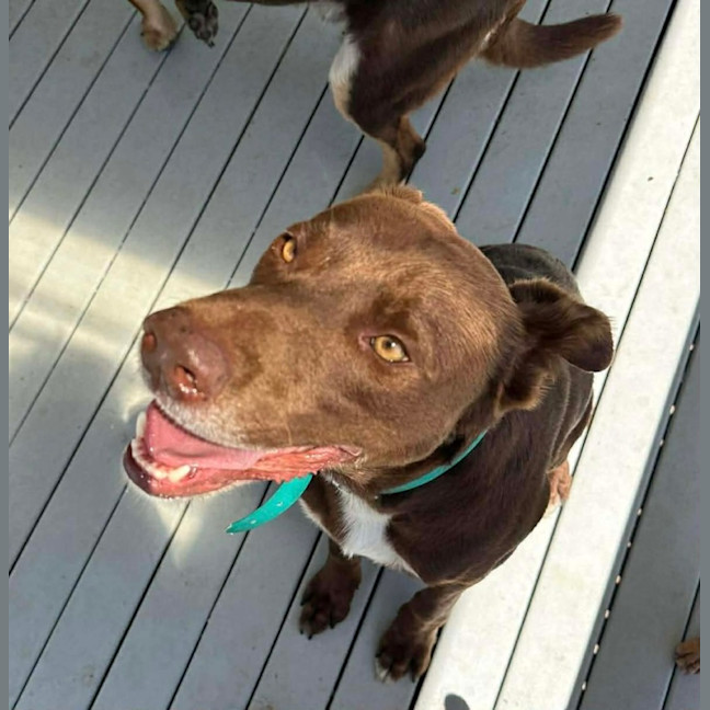 Photo of Patch