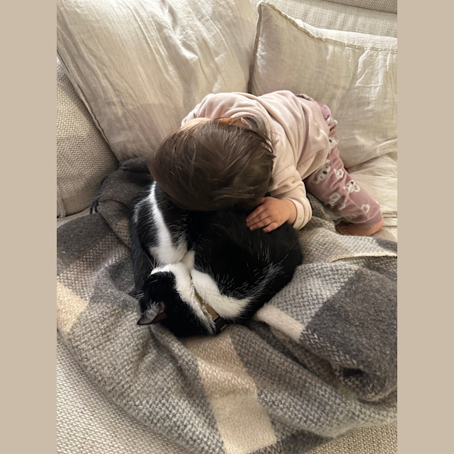 Photo of Arlo