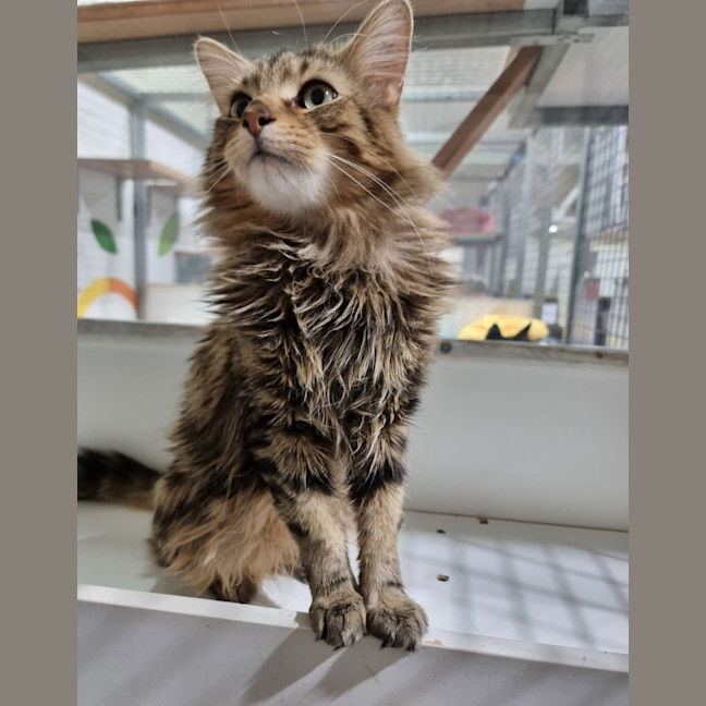 Photo of Mr Brightside