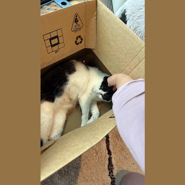 Photo of Luna