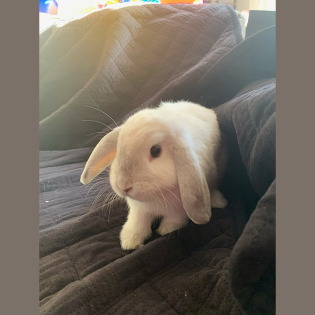 Photo of Marilyn Bunroe