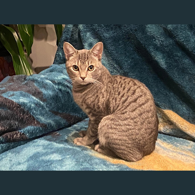 Photo of Ghost