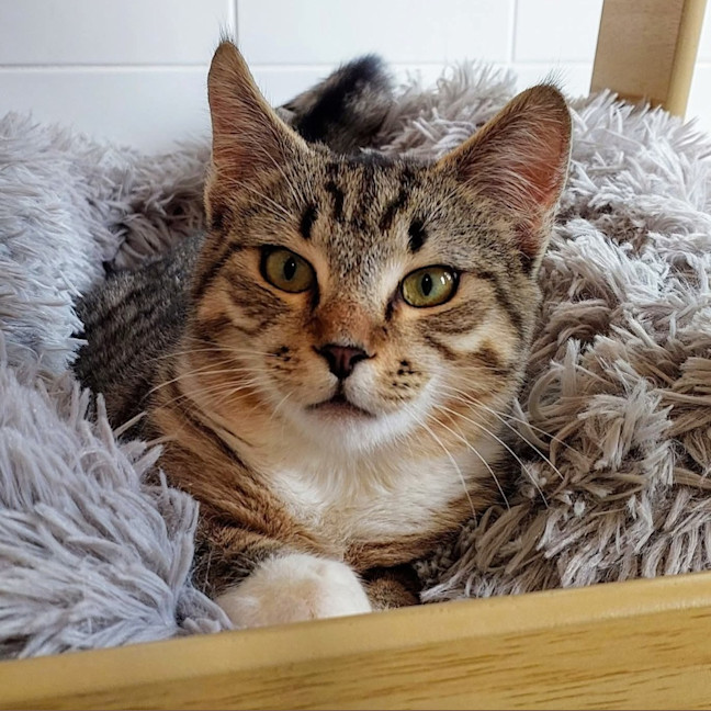 Photo of Roo