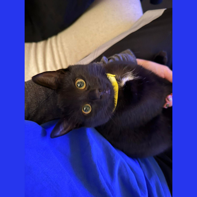 Photo of Poppy
