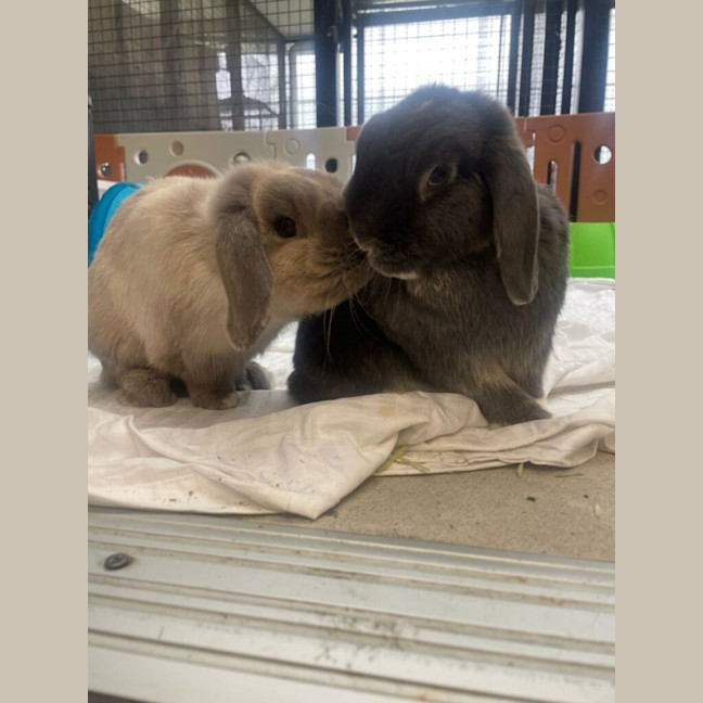 Photo of Bali And Jake