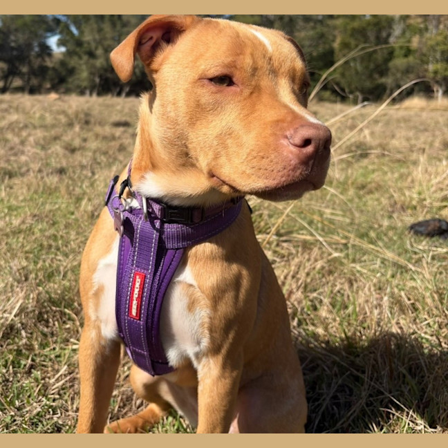Photo of Polly