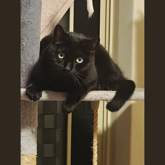 Photo of Charlie