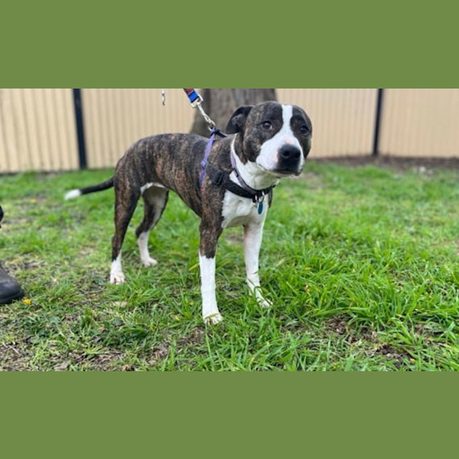 Photo of Lucy