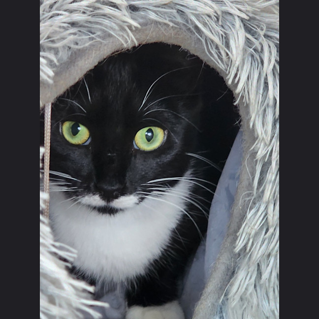 Photo of Maggie