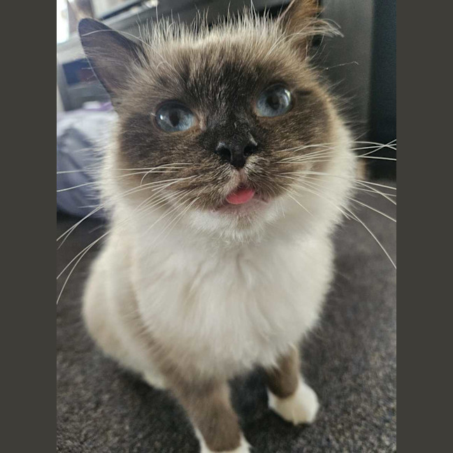Photo of Lily