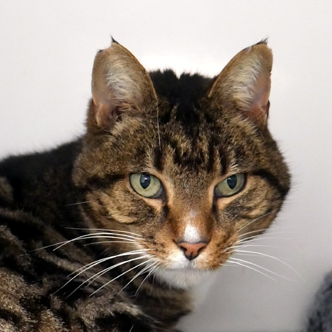 Photo of Lex Sta013973