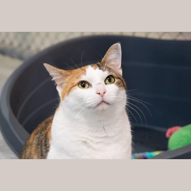 Photo of Hazel Moriarty