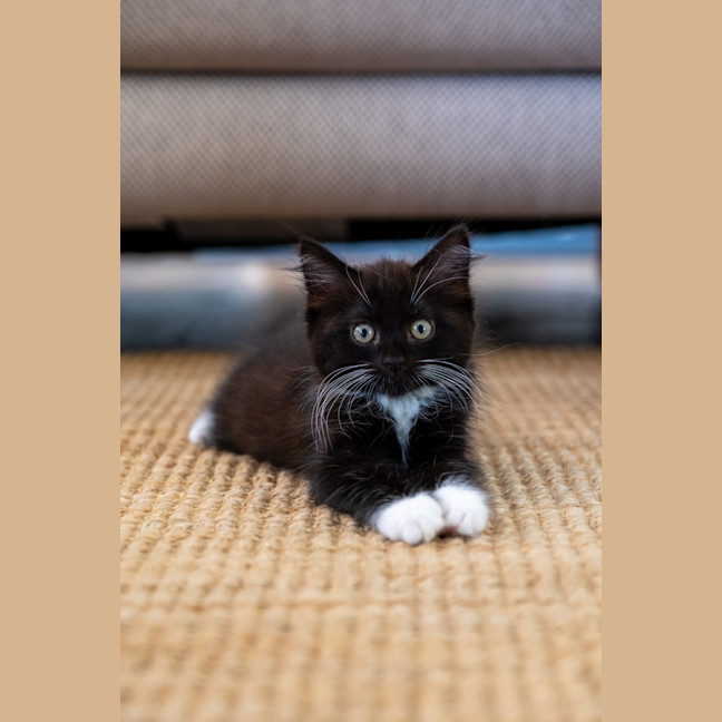 Photo of Ralph