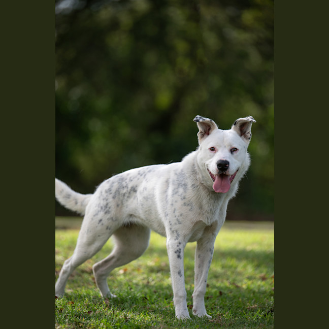 Photo of Breeze