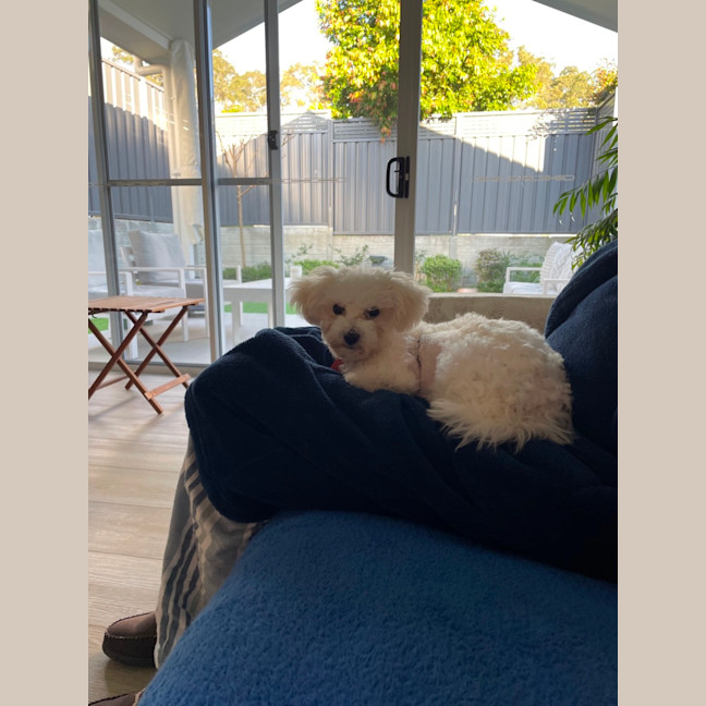 Photo of Beautiful Daisy 