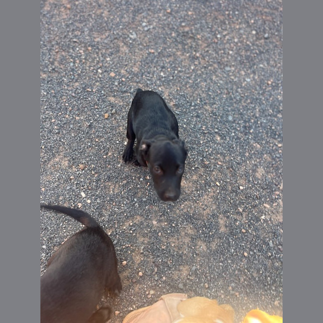 Photo of Felice (Astrid)