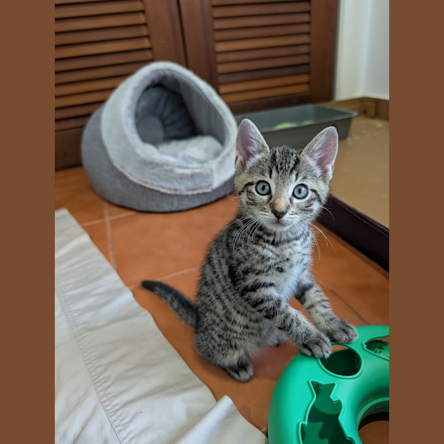 Photo of Clyde
