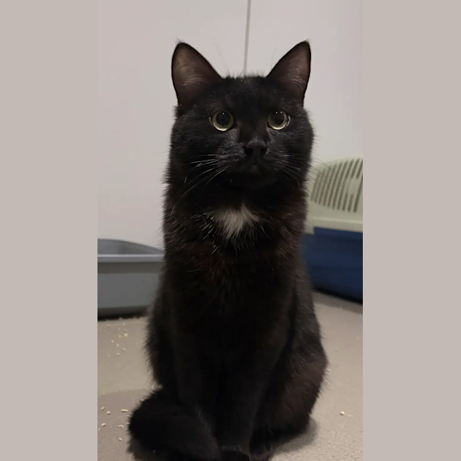 Photo of Morticia