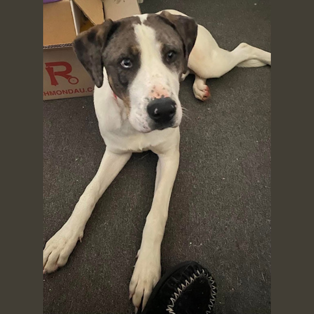 Photo of Jinkx Monsoon