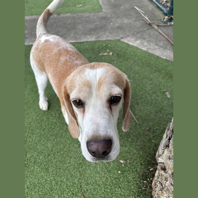 Photo of Post Malone