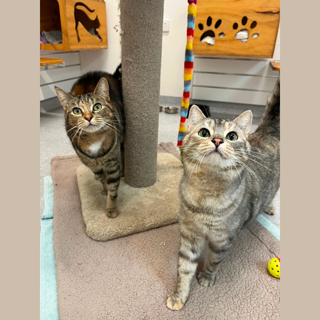 Photo of Stormi And Yeow Yeow