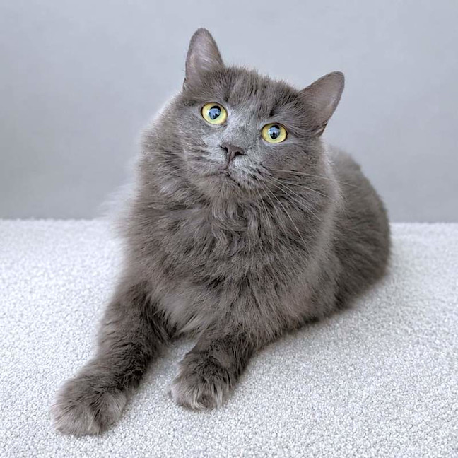 Photo of Penelope
