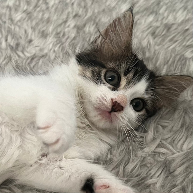 Photo of Audrey 💕