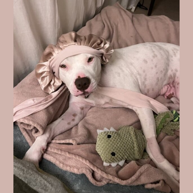 Photo of Misty