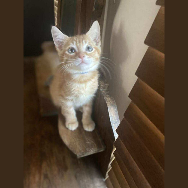 Photo of Dave The Third 