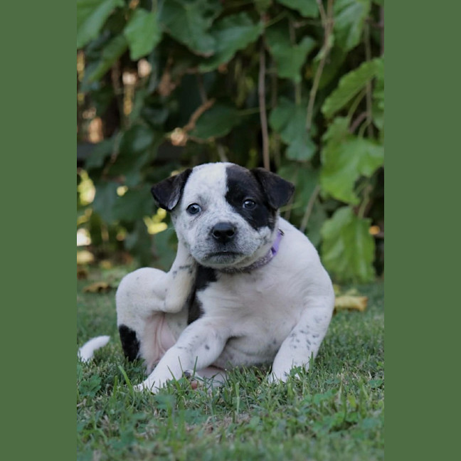 Photo of Sasha