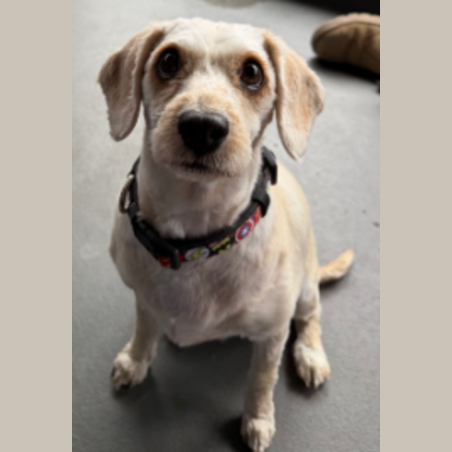Photo of Wanda