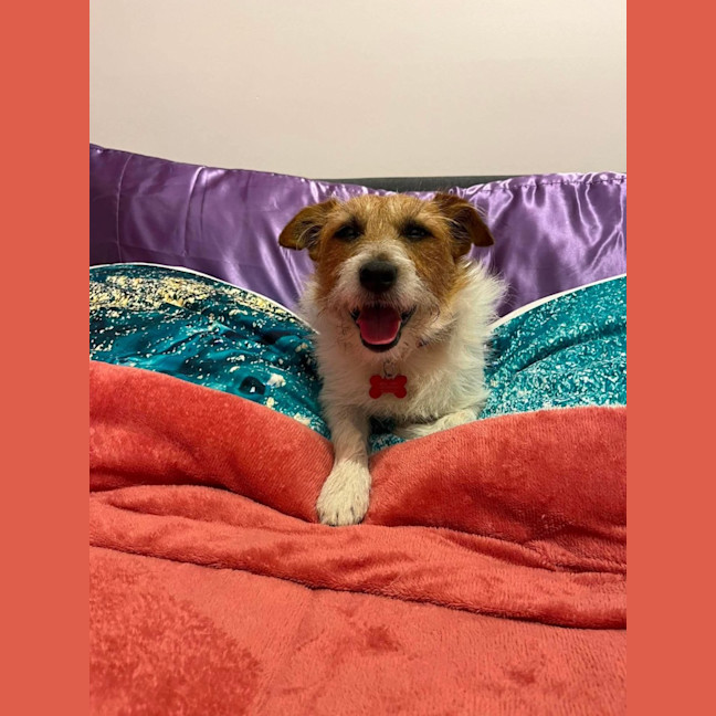 Photo of Aero