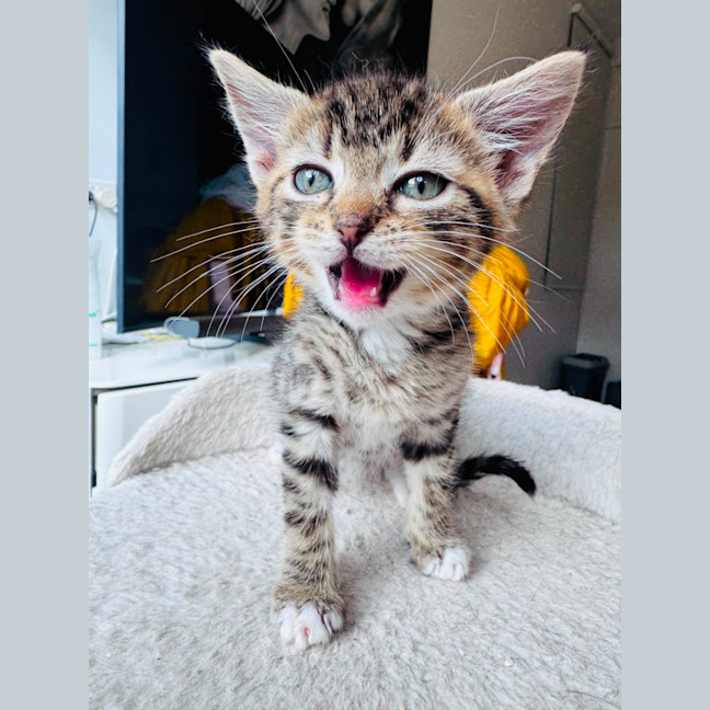 Photo of Bubbles 🫧