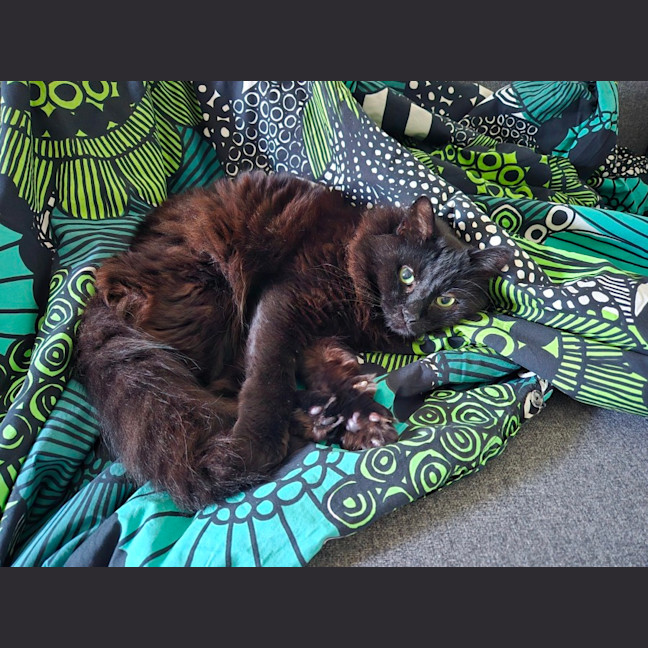 Photo of Clive   In Foster Care In Cheltenham