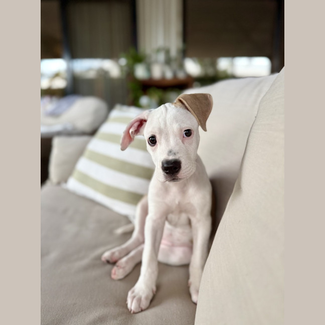 Photo of Gabby