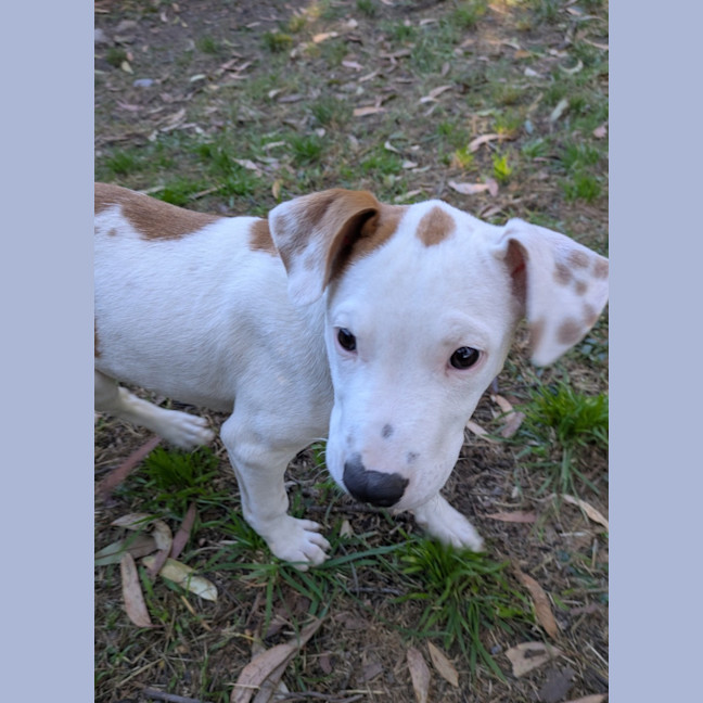 Photo of Watson