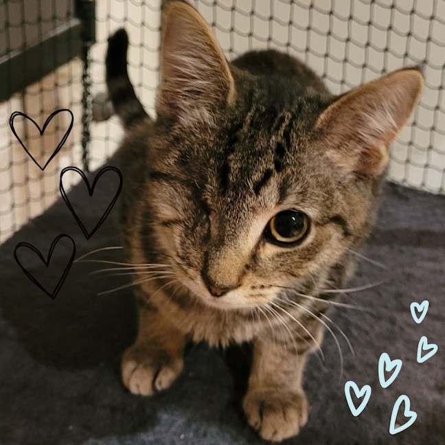 Photo of 💖 Chloe & Charlie 💖