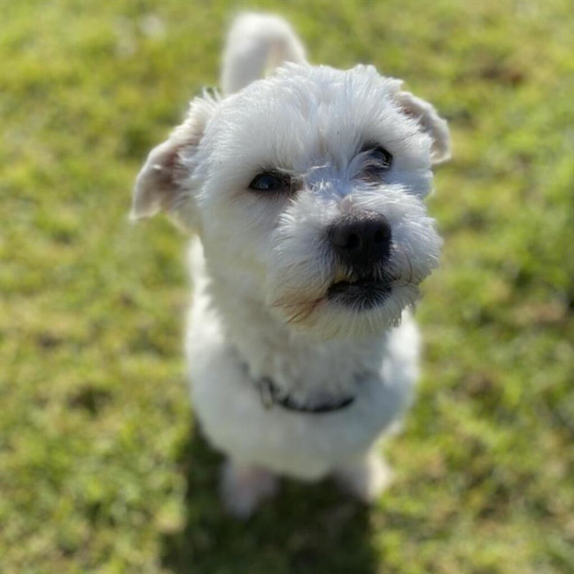 Photo of Charlie