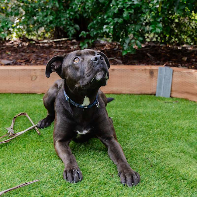Photo of Hercules